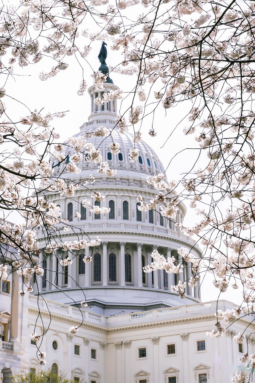 phone wallpaper, capital, usa-5043172.jpg