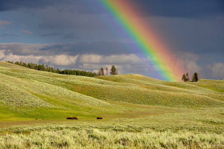 rainbow, hills, meadows-1834809.jpg